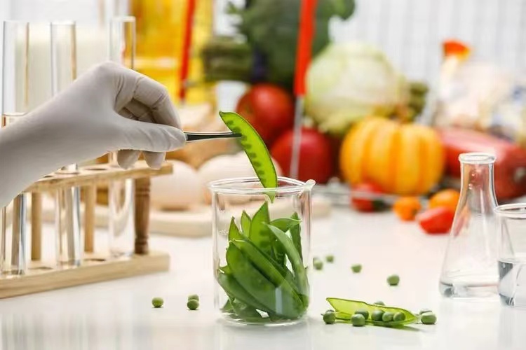 全面解读食材检验流程与指标要求