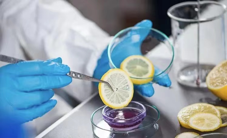 方便快捷的食品安全查询工具