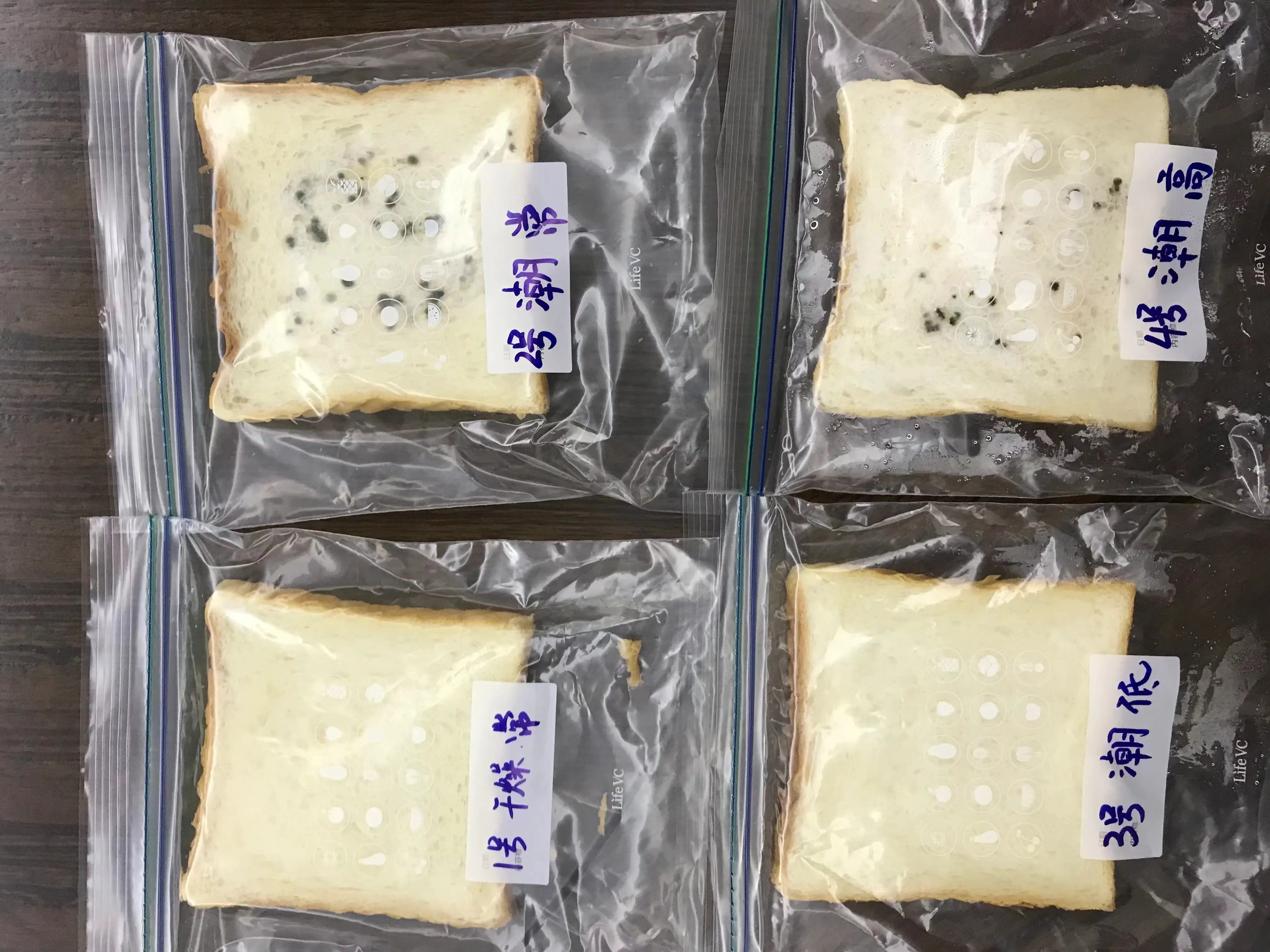深入了解豆制品的检验标准及其在食品安全中的重要性