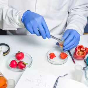 深入探讨豆制品检测技术与相关仪器，了解其高清图片与实际应用。